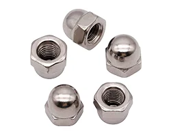304 SS Cap Nuts 304 SS Cap Nuts